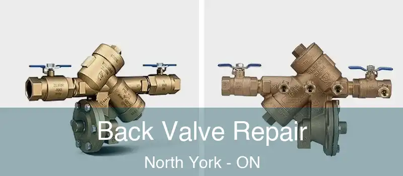  Back Valve Repair North York - ON