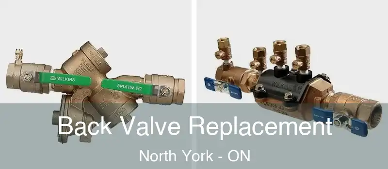  Back Valve Replacement North York - ON
