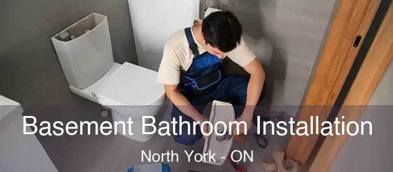  Basement Bathroom Installation North York - ON