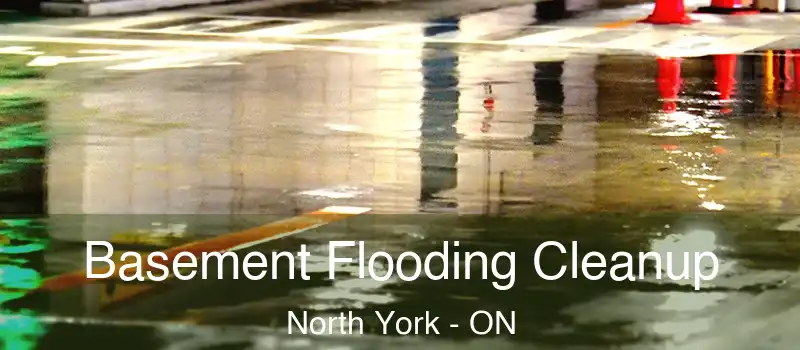  Basement Flooding Cleanup North York - ON