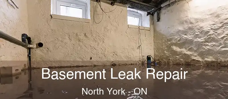  Basement Leak Repair North York - ON