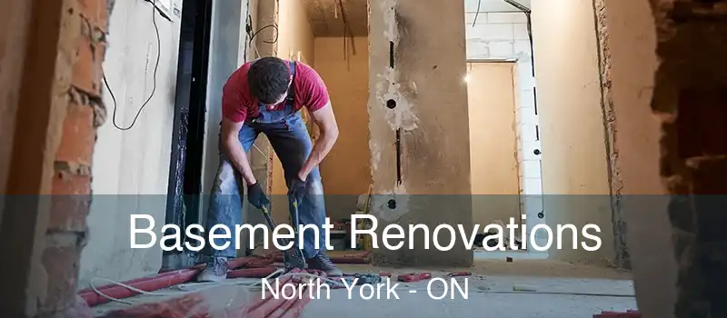  Basement Renovations North York - ON