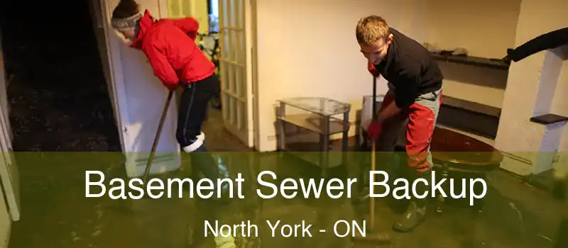  Basement Sewer Backup North York - ON