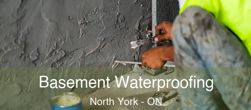  Basement Waterproofing North York - ON