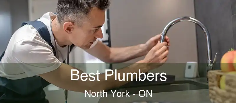  Best Plumbers North York - ON