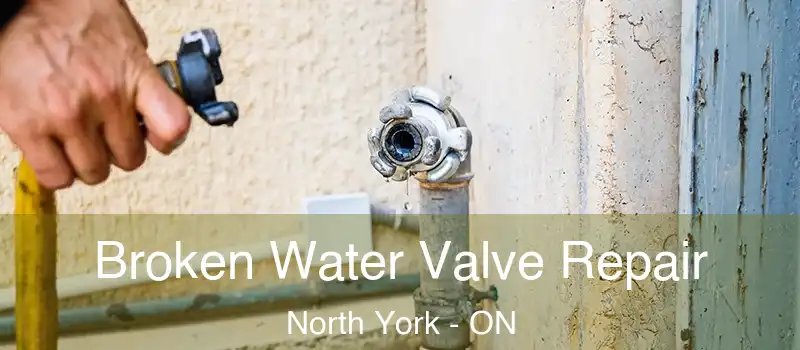  Broken Water Valve Repair North York - ON