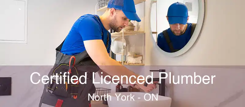  Certified Licenced Plumber North York - ON