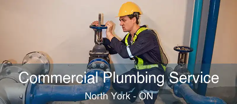  Commercial Plumbing Service North York - ON