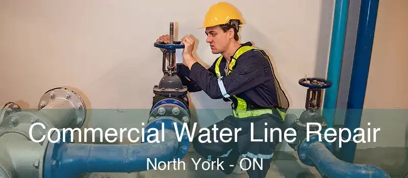  Commercial Water Line Repair North York - ON