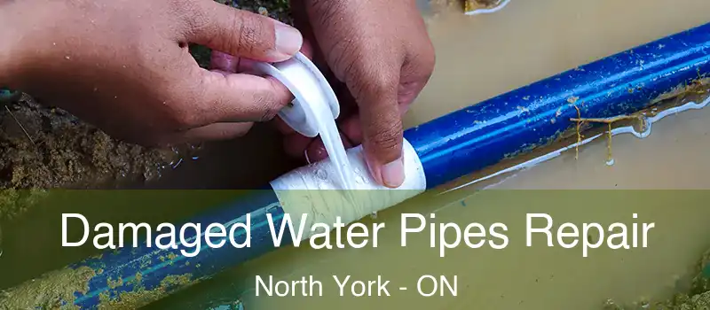  Damaged Water Pipes Repair North York - ON