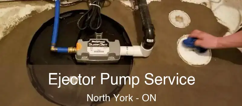  Ejector Pump Service North York - ON
