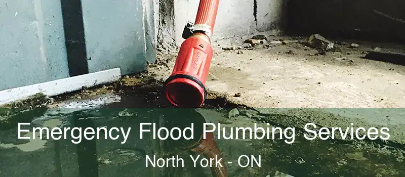  Emergency Flood Plumbing Services North York - ON