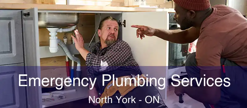  Emergency Plumbing Services North York - ON