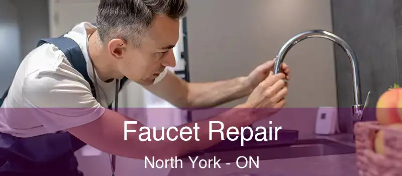  Faucet Repair North York - ON