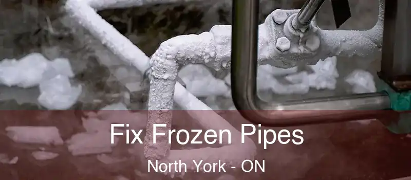  Fix Frozen Pipes North York - ON