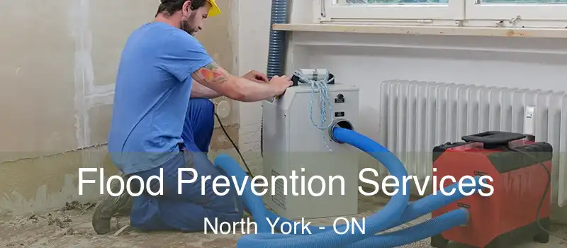  Flood Prevention Services North York - ON