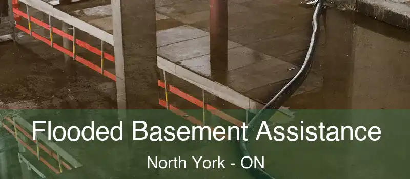  Flooded Basement Assistance North York - ON