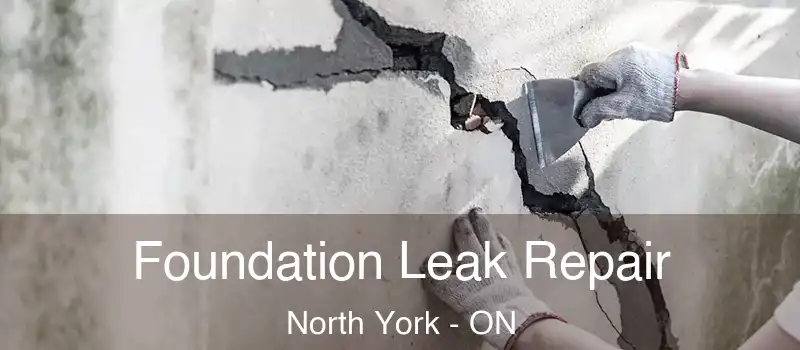  Foundation Leak Repair North York - ON