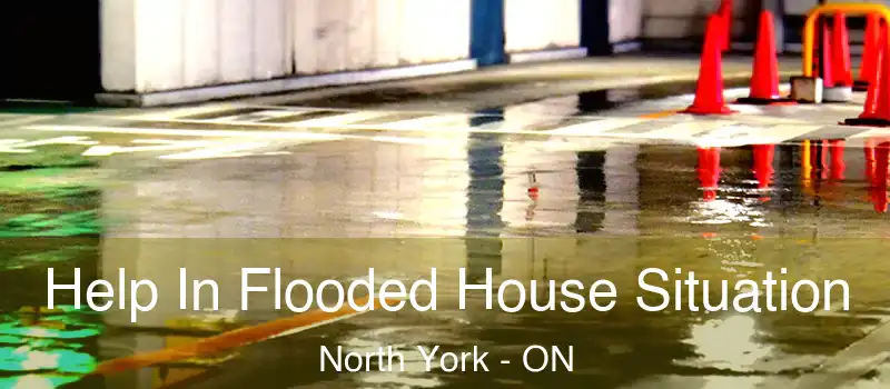  Help In Flooded House Situation North York - ON