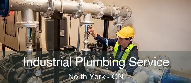  Industrial Plumbing Service North York - ON