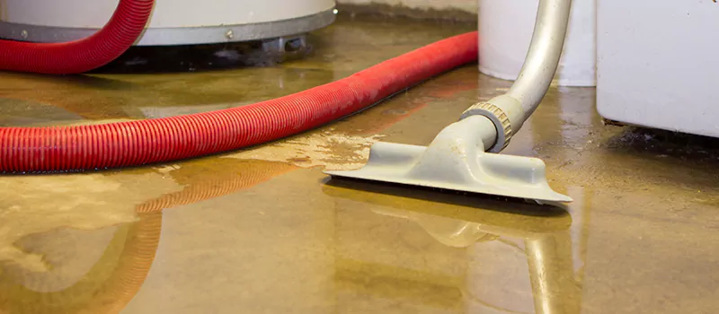 Professional Sewer Backup Cleanup Services in North York, ON