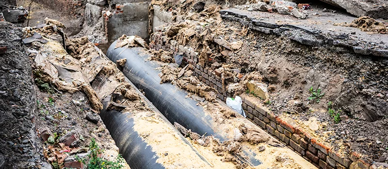 Commercial Sewer Tree Roots Damage Solutions in North York, ON