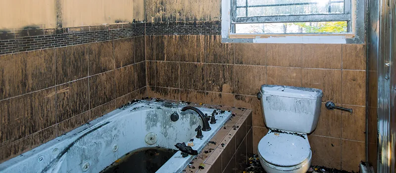 Residential Water Damage Restoration in North York, ON
