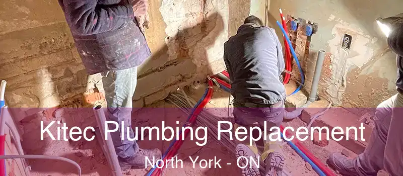  Kitec Plumbing Replacement North York - ON
