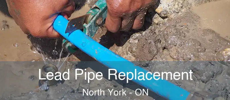  Lead Pipe Replacement North York - ON