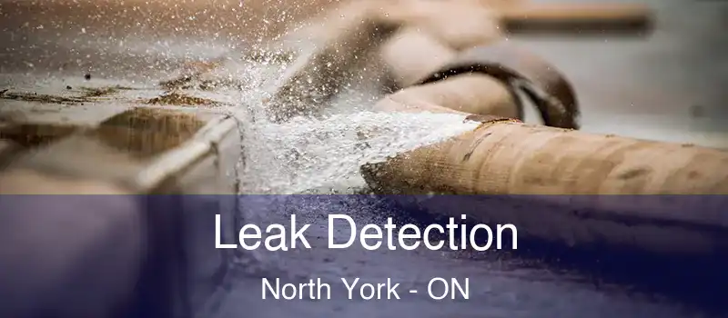  Leak Detection North York - ON