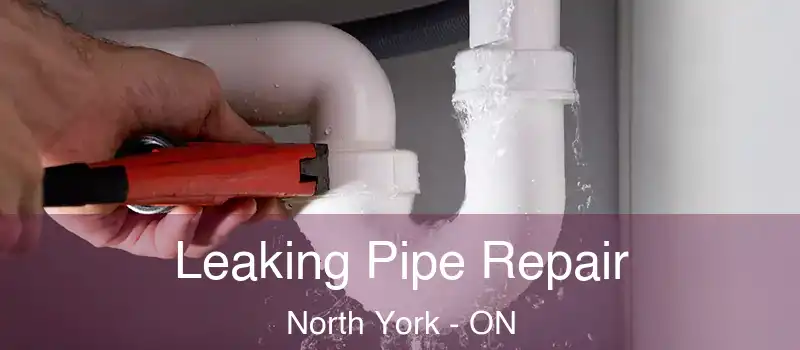  Leaking Pipe Repair North York - ON