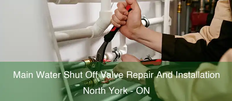  Main Water Shut Off Valve Repair And Installation North York - ON