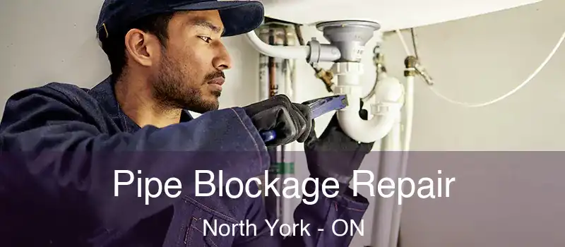 Pipe Blockage Repair North York - ON