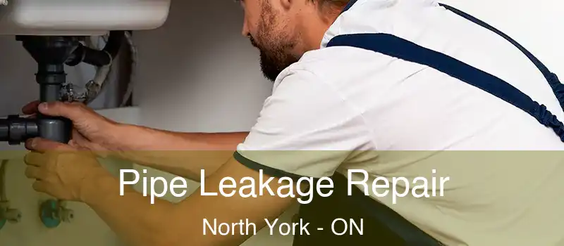  Pipe Leakage Repair North York - ON