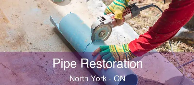  Pipe Restoration North York - ON