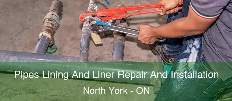  Pipes Lining And Liner Repair And Installation North York - ON