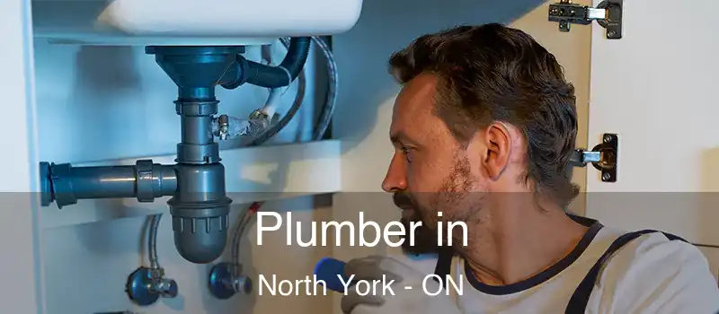  Plumber in North York - ON