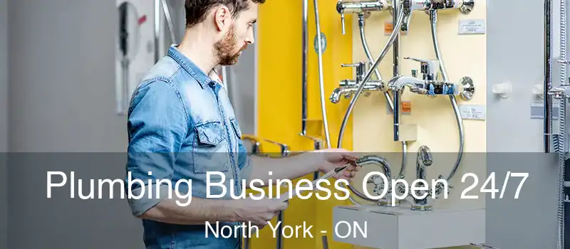  Plumbing Business Open 24/7 North York - ON