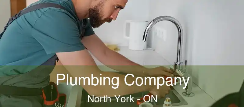  Plumbing Company North York - ON