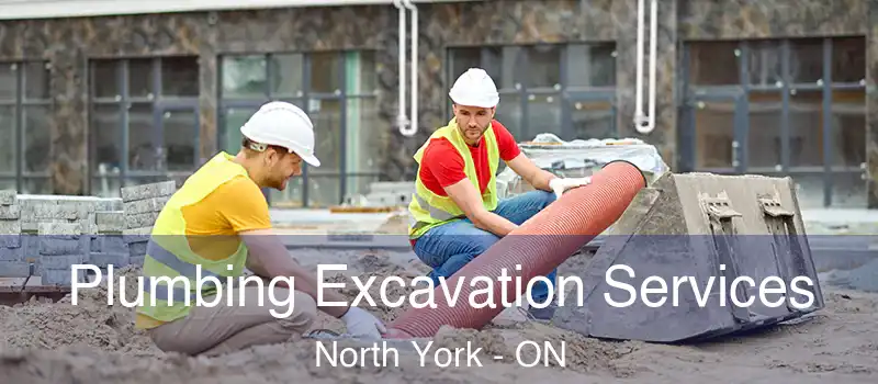  Plumbing Excavation Services North York - ON