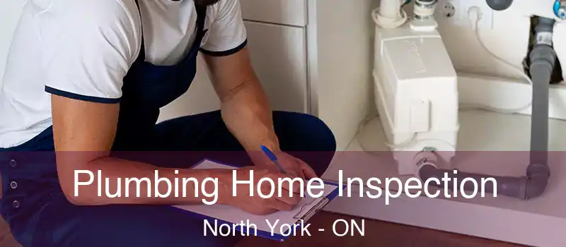  Plumbing Home Inspection North York - ON
