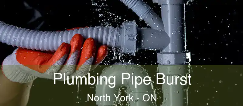  Plumbing Pipe Burst North York - ON