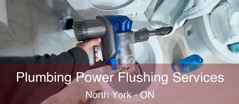  Plumbing Power Flushing Services North York - ON