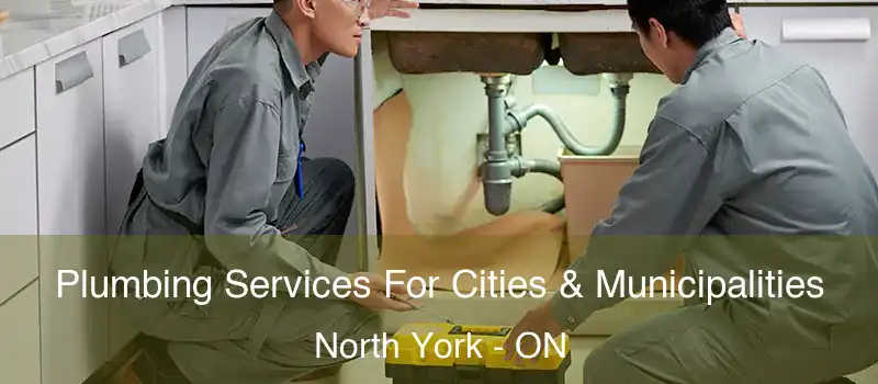  Plumbing Services For Cities & Municipalities North York - ON