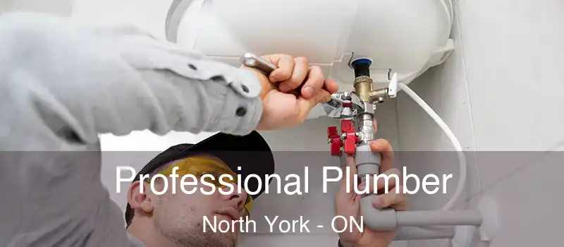  Professional Plumber North York - ON