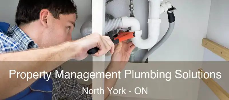  Property Management Plumbing Solutions North York - ON
