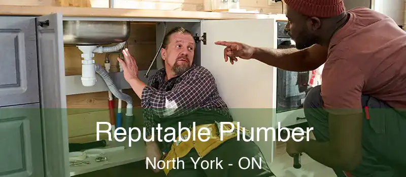  Reputable Plumber North York - ON
