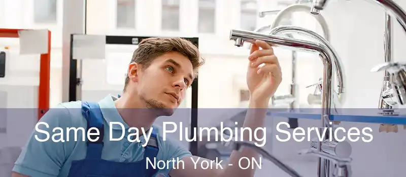  Same Day Plumbing Services North York - ON