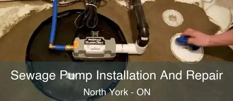  Sewage Pump Installation And Repair North York - ON