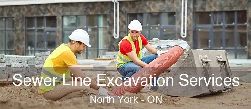  Sewer Line Excavation Services North York - ON